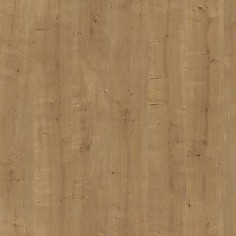 Дуб Арлингтонский