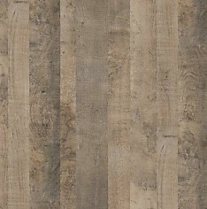 Дуб Барокко Янтарный