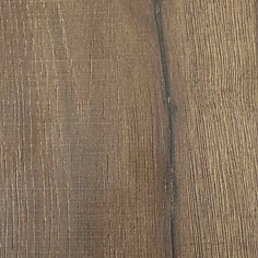 Дуб Благородный