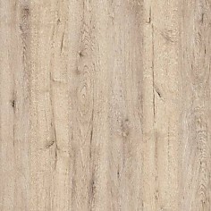 Дуб Бонифаций