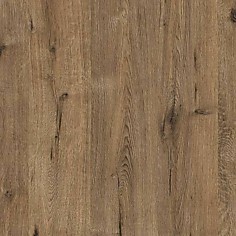 Дуб Веллингтон