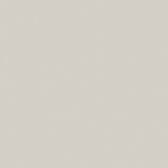 Светло-Серый