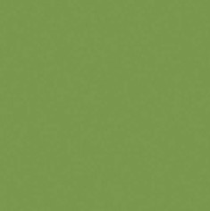 Зеленое Киви